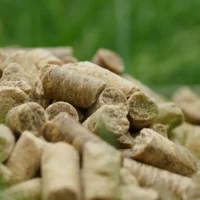 pannonia-cpc-60-premium-corn-protein-concentrate-gmo-free