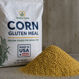 Corn Gluten Meal (CGM) 60% – High-Protein Animal Feed Grade