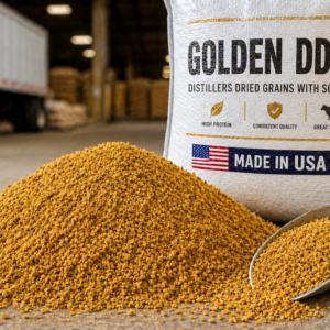 Distillers Dried Grains with Soluble DDGS 27% Protein Feed