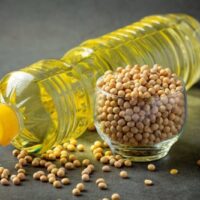 High Oleic Yellow Soybeans